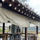 정문길 110 이미지