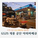 GS25 대전중리점 | 대전 근교 이색 바베큐 맛집, 고기 구워먹는 편의점 GS25 계룡공단점 가격 및 준비물 총정리
