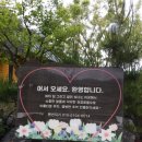 청송해달별펜션