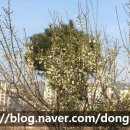 동천떡집 - 남해군 봉화로 9 | 동천떡집