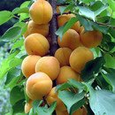 (주)드리고 이미지