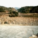 하성사