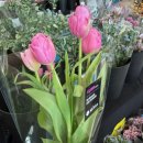 나이키 안성점 | 스타필드 안성 주말 방문 후기｜쇼핑+먹거리 총정리