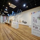 충청남도 산림박물관 이미지