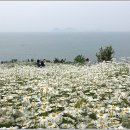 야생화단지 이미지