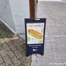 2호선 반월당역(2대) | [카페코튼] 대구 중구 삼덕동 카페 ∥ 대구 동인동 케이크 맛집