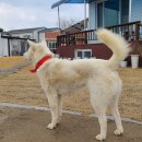 영리경로당 이미지