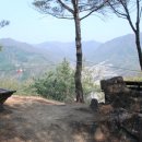 무릉도원면사무소 이미지