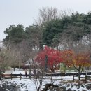 서호꽃뫼(2) 이미지