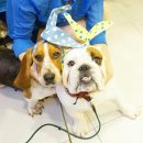 알콩달콩 이미지