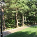 솔향수목원(전시온실) 이미지