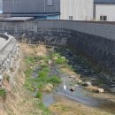 원촌마을 | 정읍 가볼만한 곳 국가유산청(31) 국가 방문코스 서원의 길 무성서원 스탬프 위치