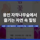 용인자연숲관광농원