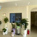 24시 황금동물의료센터 이미지