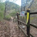 자진뱅이길 이미지