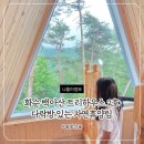 휴양림하우스 | 화순 백아산 자연휴양림 트리하우스 2호 후기