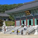 삼산남로 이미지