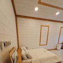 자연앤팜 | 제주도독채펜션, 힐링 그자체였던 비스비제주 앤 팜빌리지 다녀온 후기