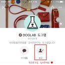 도그랩 이미지