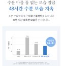브로우 플랜트 | 쏘내추럴 아이스플랜트 워터크림