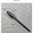 바이퐁