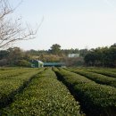 초록마을제주 - 서귀포시 영어도시로 61 | 초록마을제주