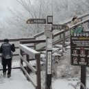 팔공산 하늘정원 이미지