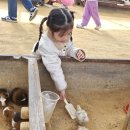 신기한나라어린이집 | 5세 구몬 한글이크는나무 한솔 신기한 한글나라 상담 후기