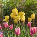 밝은마음문고 이미지