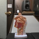 보스노래클럽 | 축가 고민으로 찾은 보컬학원, 창법 분석까지 해주는 클럽소울아카데미 솔직후기🎤