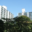 백송공인중개사 사무소 이미지