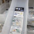 오다있소 | 다이소 냉장고 정리 트레이 꿀템 3가지