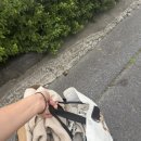 보령 세탁소 이미지