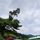 샘터농원 이미지