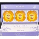 다산 이미지