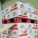 꿈꾸는농장 이미지