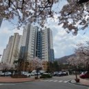 초당부동산공인중개사사무소 이미지