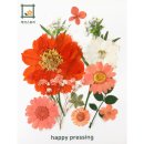 압화만들기 이미지