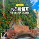 경일빌딩 주변 | 대구 능소화폭포 김광석거리 6월 꽃구경 명소 가볼만한곳