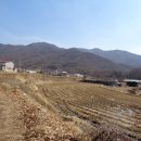 도곡15리 마을회관 이미지