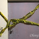 마산회원구 ⓒ-10 이미지