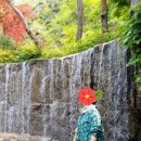 안양한증원 이미지