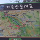 계룡산임도삼거리(입구) 이미지
