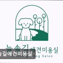 늘솔길애견미용실 네이버블로그