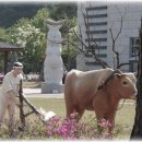 선바위관광지 이미지