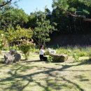 별빛애견펜션 이미지