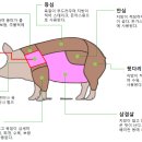 스튜디오아크 이미지