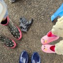 문항어촌체험마을 | 문항 어촌체험마을 - 조개잡이 체험