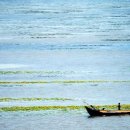 중국 밀산 흥개호: 원초적인 자연의 호수 이미지