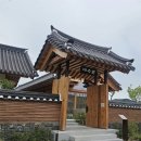 선명한의원 | 경주 대추밭한의원 후기 1년 넘게 임준한 나의 후기